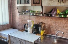 Garsoniera parter cu vad, zona Ciuperca