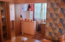 Garsoniera parter cu vad, zona Ciuperca