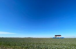 Investitie! Teren intravilan 7537 mp, zona Peugeot-Pielesti