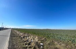 Investitie! Teren intravilan 7537 mp, zona Peugeot-Pielesti