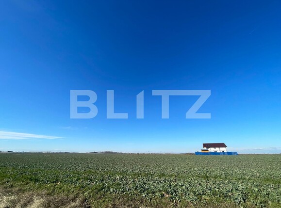 Teren de vânzare Pielești - 109361TV | BLITZ Craiova | Poza2