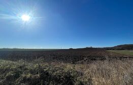 Investitie! Teren 10000 mp, Pielesti-Robanesti