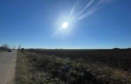 Investitie! Teren 10000 mp, Pielesti-Robanesti