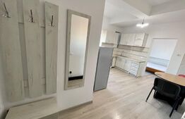 Garsoniera de 48 mp, pet friendly, 1 Mai zona Spitalul de Urgent Nr 1
