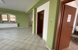 Casa P+M 240 mp, teren 550 mp, zona Ford