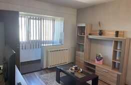 Garsoniera,28mp, Rovine, zona Frigorifer