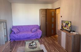 Garsoniera,28mp, Rovine, zona Frigorifer