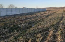 Teren extravilan de 4800mp, zona Centrala - Filiasi