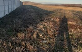 Teren extravilan de 4800mp, zona Centrala - Filiasi