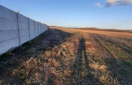 Teren extravilan de 4800mp, zona Centrala - Filiasi