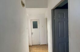 Spatiu birou, 30 mp , zona brestei