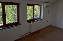 Spatiu birou, 120 mp , zona brestei