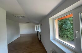 Spatiu birou, 120 mp , zona brestei