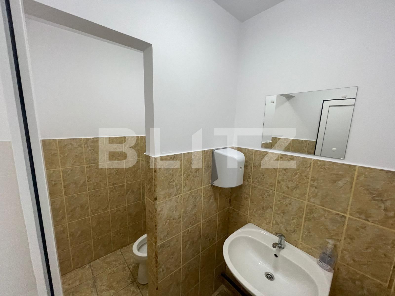 Spațiu birouri de închiriat Brestei - 109730SIB | BLITZ Craiova | Poza13