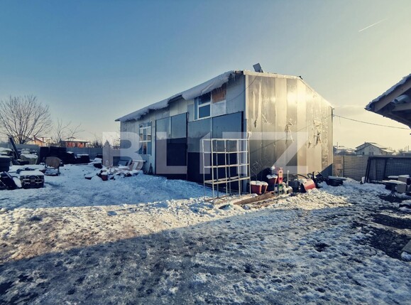 Spațiu industrial de vânzare Malu Mare - 110204SVI | BLITZ Craiova | Poza2