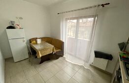 Apartament 2 camere, 2 bai, parcare privata, centrala, petfrendly, zona Ultracentrala