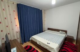 Apartament 2 camere utilat si mobilat, Brazda