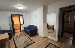 Apartament 2 camere utilat si mobilat, Brazda