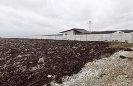 Teren intravilan 4926 mp, acces facil DE65, cu utilitati, zona Qfort!