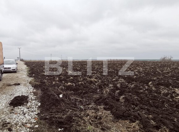 Teren de vânzare Pielești - 110515TV | BLITZ Craiova | Poza3