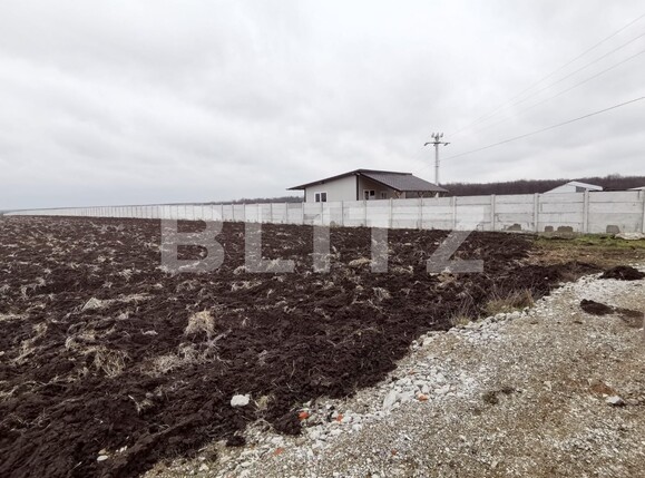 Teren de vânzare Pielești - 110515TV | BLITZ Craiova | Poza1