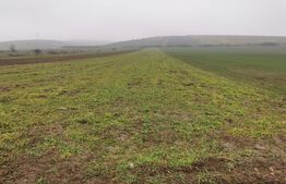 Teren extravilan 4025 mp, Filiasi- zona Morii-Tir 