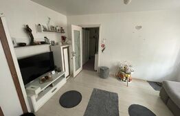 Apartament 2 camere, 54 mp, Brazda, zona Simplon