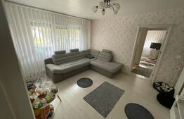 Apartament 2 camere, 54 mp, Brazda, zona Simplon