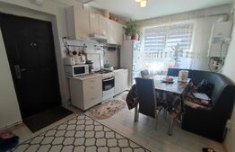 Apartament 2 camere, parter, Zona Brestei Biserica