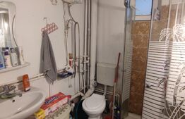 Apartament 2 camere, parter, Zona Brestei Biserica