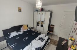 Apartament 2 camere, parter, Zona Brestei Biserica