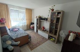 Apartament 2 camere, parter, Zona Brestei Biserica