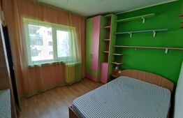 Apartament 3 camere, Craiovita Noua( Zona Racheta)