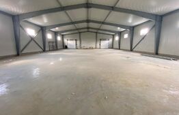 Hala Industriala, 600 mp, construcție noua, Parc Industrial, pretabil Showroom