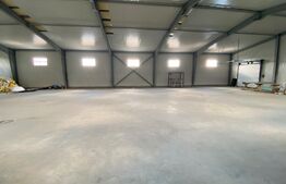 Hala Industriala, 600 mp, construcție noua, Parc Industrial, pretabil Showroom