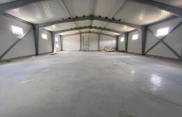 Hala Industriala, 600 mp, construcție noua, Parc Industrial, pretabil Showroom