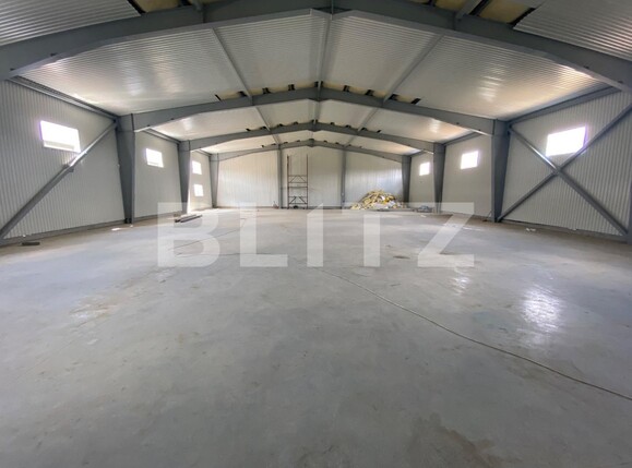 Spațiu industrial de închiriat Est - 110837SII | BLITZ Craiova | Poza2