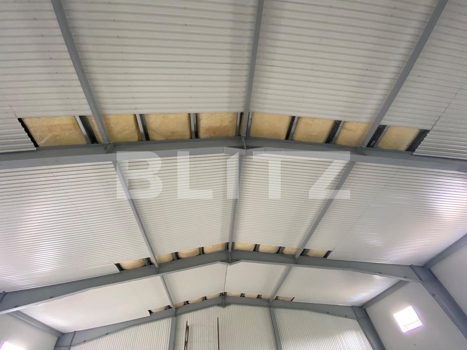 Spațiu industrial de închiriat Est - 110837SII | BLITZ Craiova | Poza4