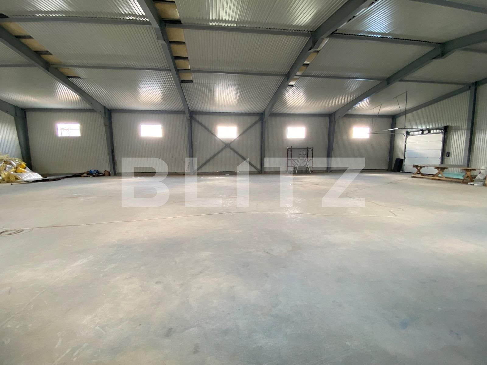 Spațiu industrial de închiriat Est - 110837SII | BLITZ Craiova | Poza5