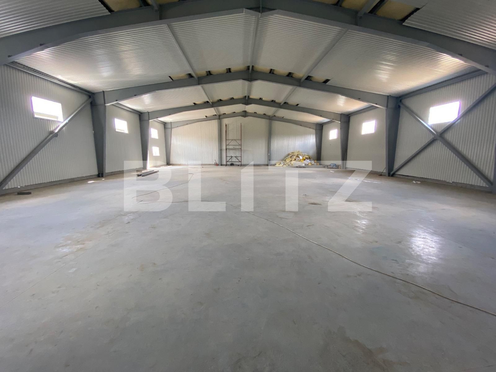 Spațiu industrial de închiriat Est - 110837SII | BLITZ Craiova | Poza2