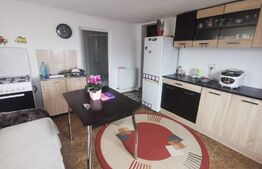 Casa pe parter cu curte de 1119 mp, Bradesti 