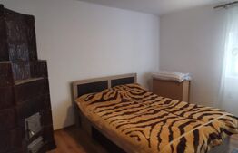 Casa pe parter cu curte de 1119 mp, Bradesti 