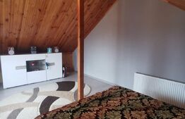 Casa pe parter cu curte de 1119 mp, Bradesti 