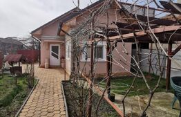 Casa pe parter cu curte de 1119 mp, Bradesti 