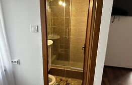 Casă D + P + M 134 mp utili, 1.090 mp teren, Dubova