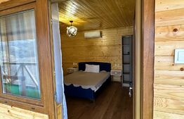 Casă D + P + M 134 mp utili, 1.090 mp teren, Dubova