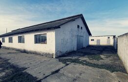 Spatiu industrial-agricol, pretabil transformat in zona de evenimente, 900 mp si 2706 mp teren, Popoveni!