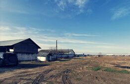 Spatiu industrial-agricol, pretabil transformat in zona de evenimente, 900 mp si 2706 mp teren, Popoveni!