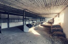 Spatiu industrial-agricol, pretabil transformat in zona de evenimente, 900 mp si 2706 mp teren, Popoveni!