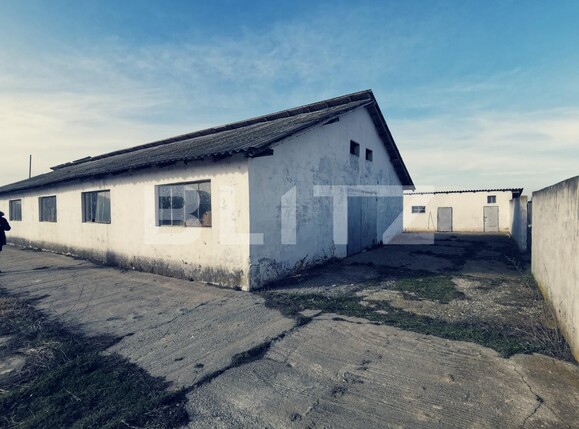 Spațiu industrial de vânzare Popoveni - 111111SVI | BLITZ Craiova | Poza4